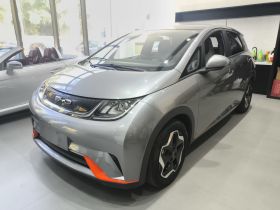 比亚迪 海豚 2021款 405km 时尚版