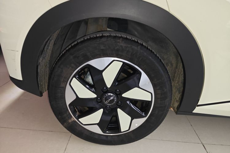 比亚迪 海豚 2024款 荣耀版 420km 自由版车身外观6008