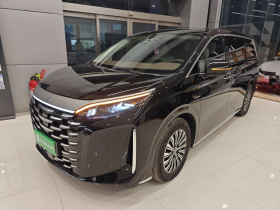 比亚迪 夏 2025款 DM-i 1.5T 180km 超越型