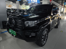 坦克700新能源 2024款 Hi4-T 极境版