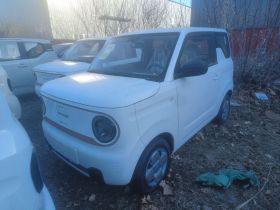 吉利银河 2024款 熊猫mini 200km 耐力熊