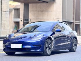 特斯拉 Model 3 2021款 标准续航后驱升级版