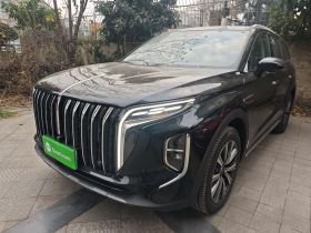 红旗HS7 PHEV 2025款 2.0T PHEV 四驱200万辆纪念版 6座