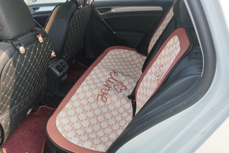 大众 高尔夫 2019款 1.6L 自动舒适型 国V中控内饰21