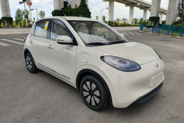 五菱汽车 五菱缤果 2024款 333km 悦享款车身外观6002