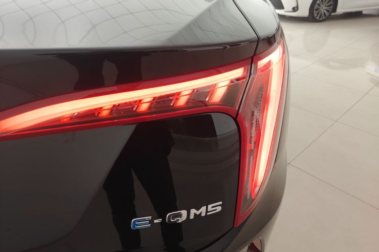 红旗E-QM5 2021款 网约充电 基础版 5座车身外观6006