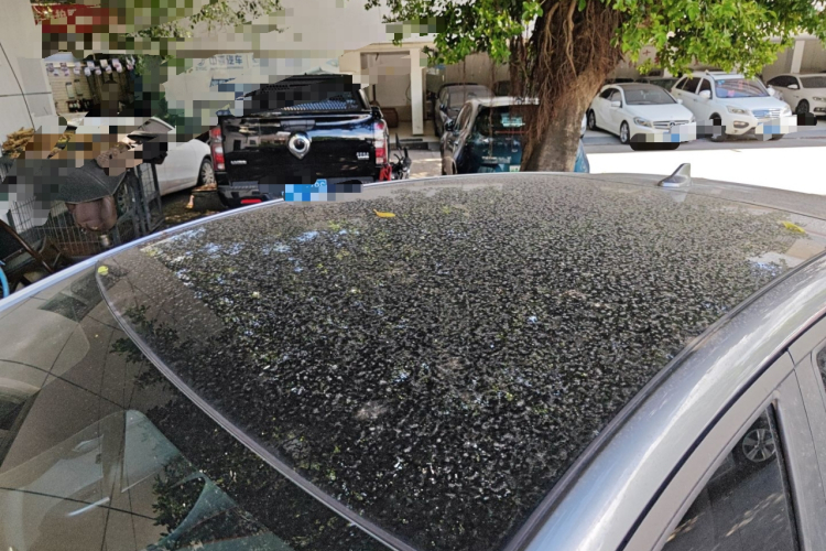 比亚迪 海豚 2021款 405km 时尚版局部细节57