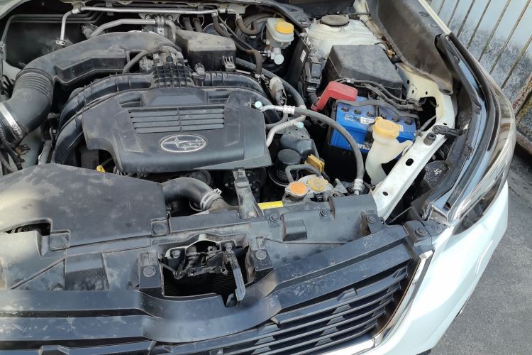 斯巴鲁 森林人 2019款 2.0i 豪华版EyeSight局部细节9007