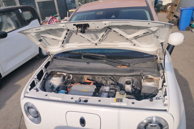 欧拉黑猫 2019款 351km 女神版机舱底盘24