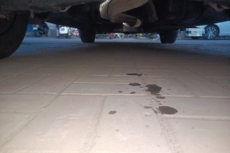 红旗HS5 2019款 2.0T 智联旗享版局部细节9009