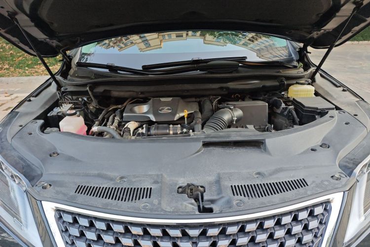 雷克萨斯RX 2020款 300 四驱典雅版 国VI局部细节24