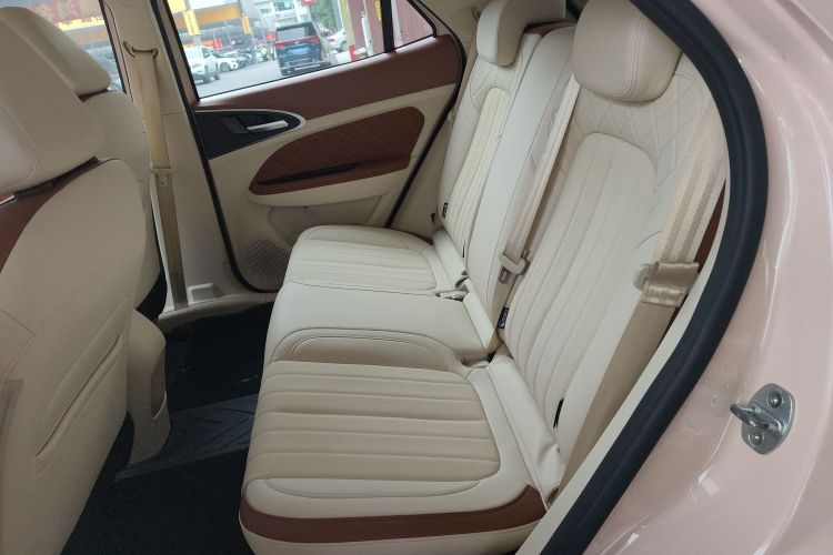 欧拉好猫 2023款 401km标准续航 豪华型 磷酸铁锂中控内饰7004