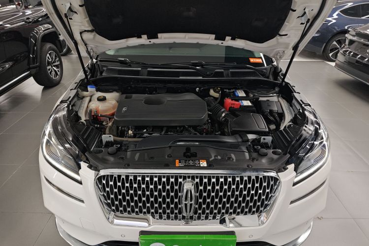 林肯 冒险家 2022款 2.0T 两驱尊雅版机舱底盘24