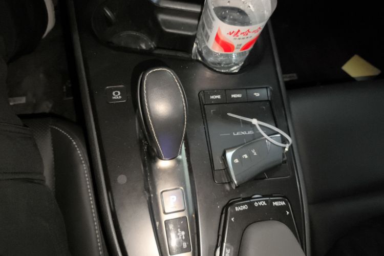 雷克萨斯UX新能源 2020款 300e 纯·享版中控内饰18