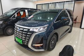 腾势D9 2024款 DM-i 980 四驱尊荣型