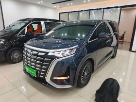 腾势D9 2024款 DM-i 980 四驱尊荣型