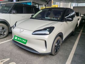 五菱汽车 五菱缤果PLUS 2024款 401km 五座版