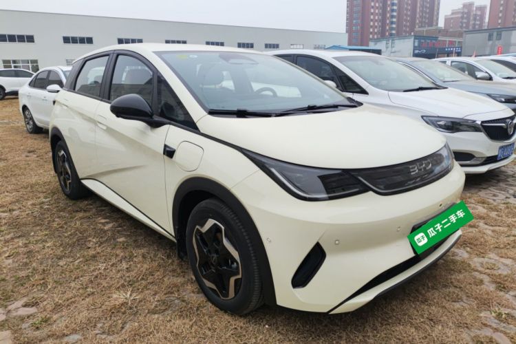 比亚迪 海豚 2025款 智驾版 420km 自由版车身外观6002