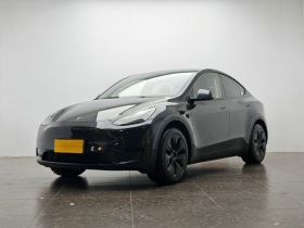 特斯拉 Model Y 2024款 后轮驱动版