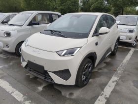 比亚迪 海鸥 2025款 智驾版 305km 自由版