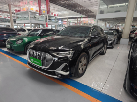 奥迪e-tron 2021款 50 quattro 豪华型