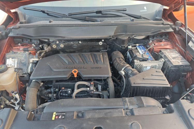 哈弗大狗 2021款 1.5T DCT两驱马犬版机舱底盘24