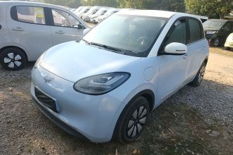 五菱汽车 五菱缤果 2023款 410km 灵犀尊享款