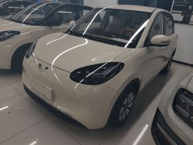 五菱汽车 五菱缤果 2025款 333km 灵犀互联款