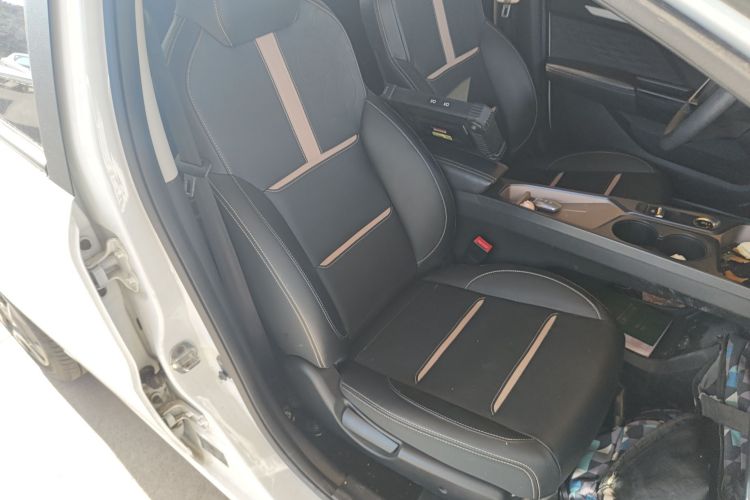 思皓 2022款 花仙子款 四叶草局部细节41