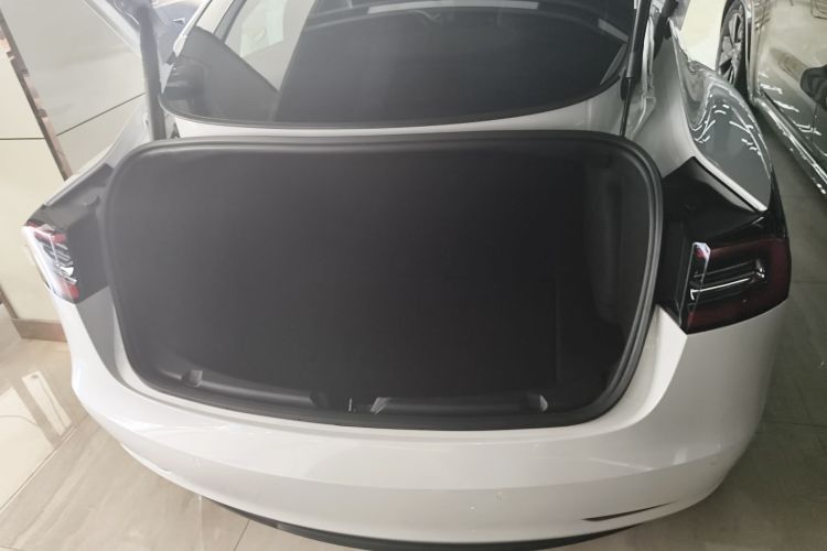 特斯拉 Model 3 2021款 改款 标准续航后驱升级版 3D1局部细节23