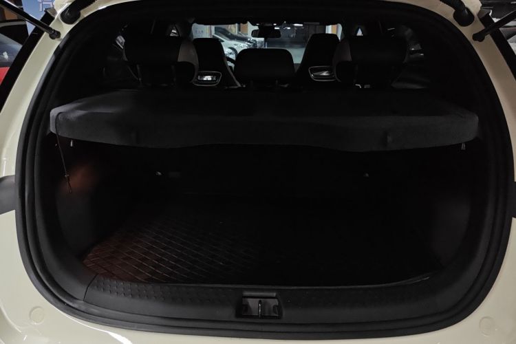 比亚迪 海豚 2024款 荣耀版 420km 时尚版局部细节23