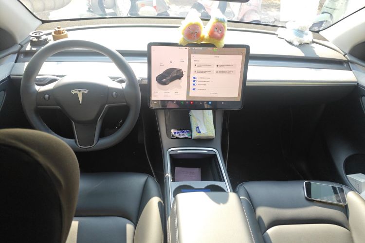 特斯拉 Model Y 2024款 后轮驱动版中控内饰12