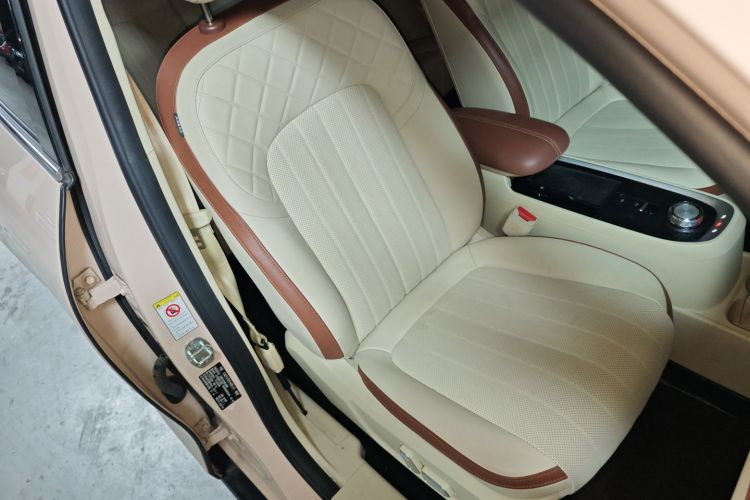 欧拉好猫 2022款 莫兰迪版 400km标准续航 尊贵型 三元锂局部细节41