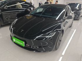 特斯拉 Model 3 2023款 后轮驱动版