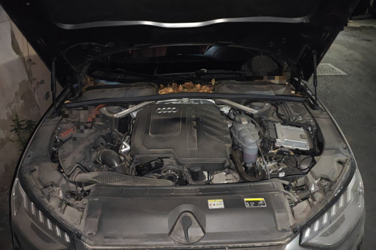 奥迪A4L 2023款 40 TFSI 豪华动感型局部细节24