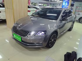 斯柯达 明锐 2019款 TSI280 DSG智行豪华版 国VI