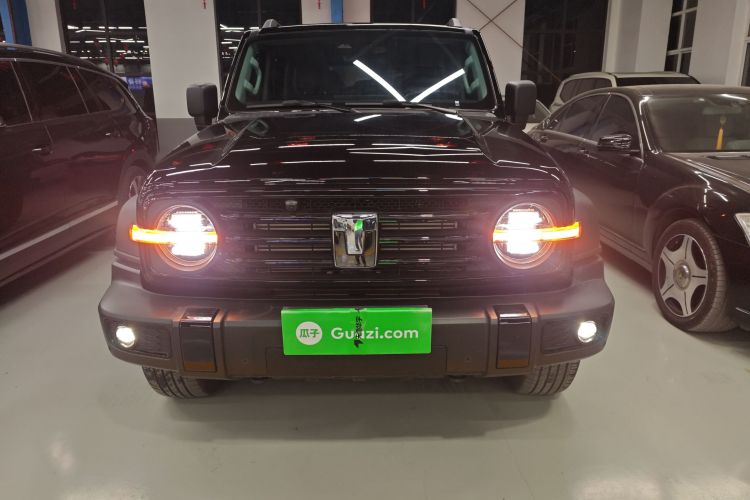 坦克300 2025款 2.0T 征服者车身外观6001