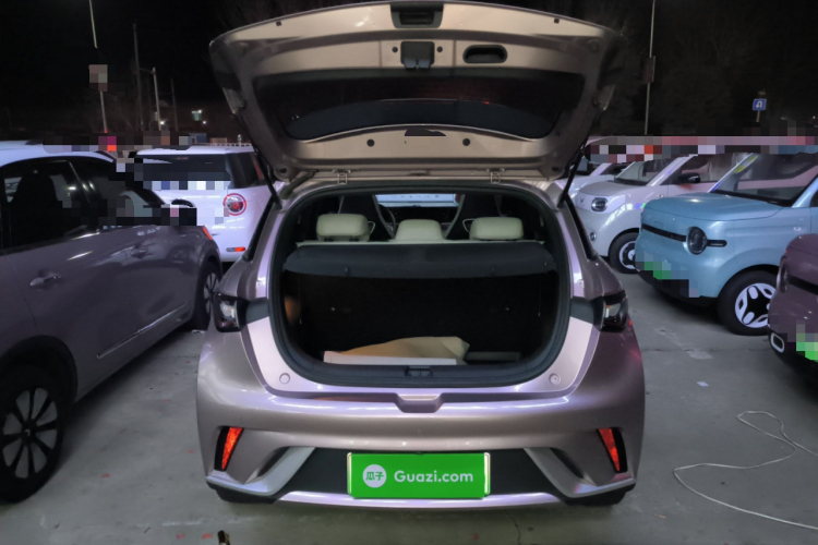 比亚迪 海豚 2021款 405km 时尚版机舱底盘23