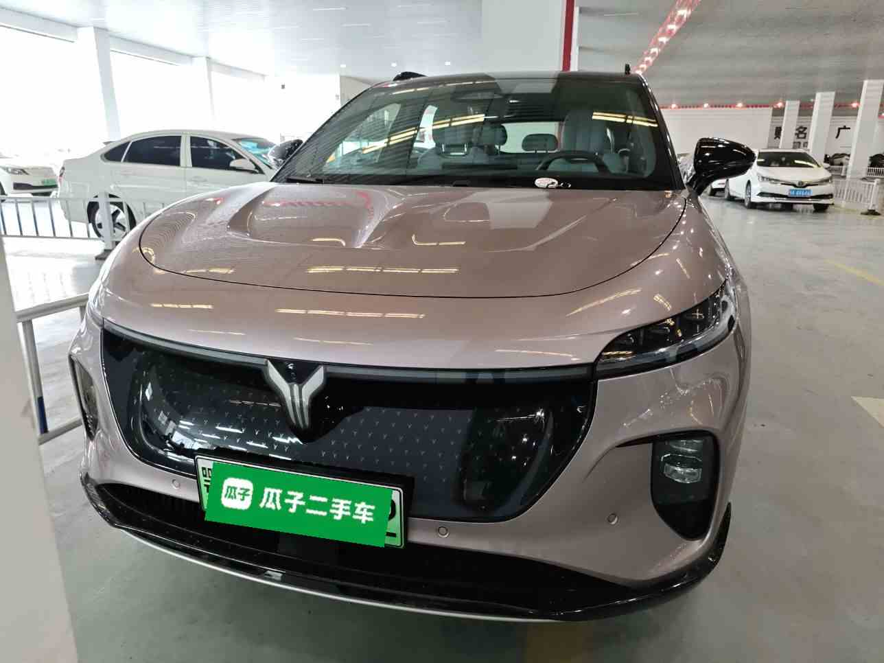 岚图汽车 岚图知音 2024款 四驱全球版(1)
