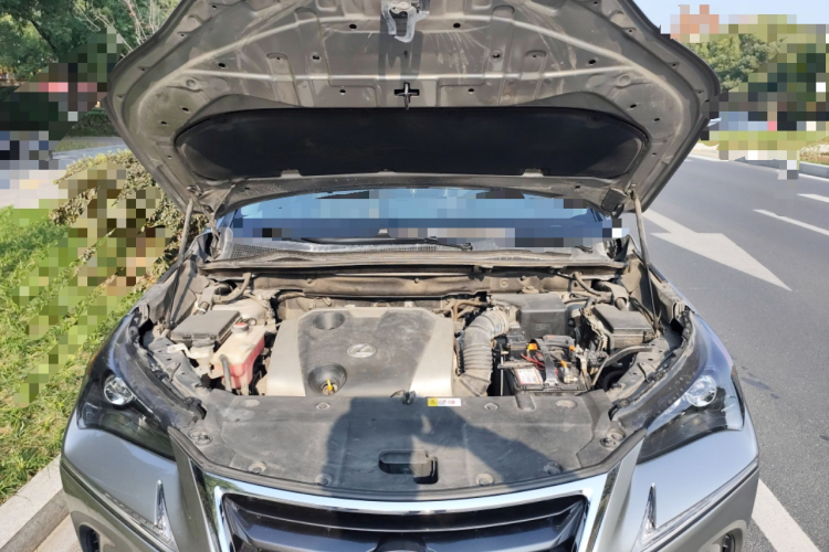 雷克萨斯NX 2016款 200 全驱 锋尚版局部细节24