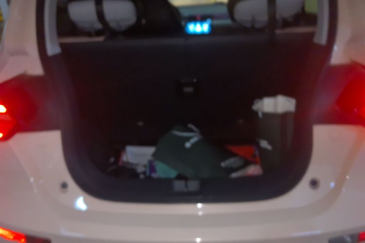 零跑汽车 零跑T03 2022款 珠光版中控内饰23