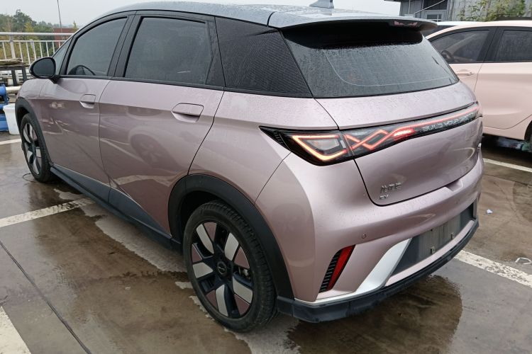 比亚迪 海豚 2021款 401km 骑士版车身外观6003