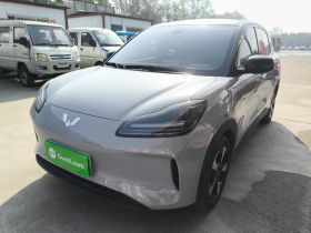 五菱汽车 五菱缤果PLUS 2024款 510km 旗舰版 四座版