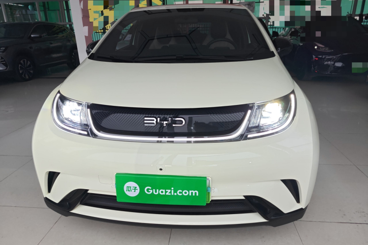 比亚迪 海豚 2024款 荣耀版 420km 自由版车身外观6001