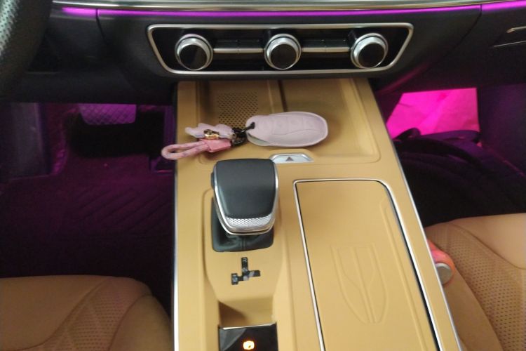 红旗HS5 2023款 2.0T 四驱旗领Pro版局部细节18