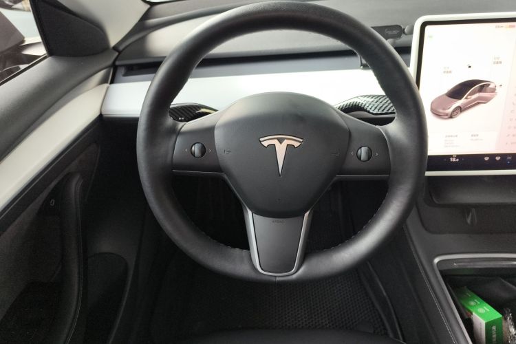 特斯拉 Model 3 2021款 标准续航后驱升级版 3D6局部细节13