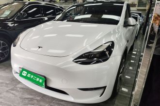 特斯拉 Model Y 2021款 长续航全轮驱动版 3D7