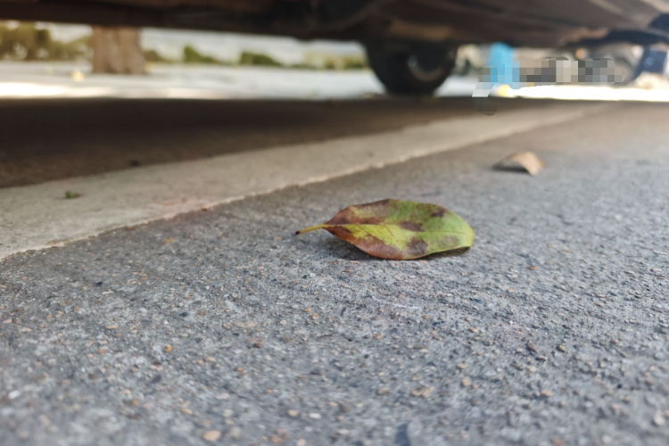 大众 宝来 2018款 1.5L 手动舒适型局部细节9004