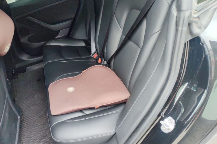 特斯拉 Model 3 2021款 标准续航后驱升级版 3D6中控内饰7004