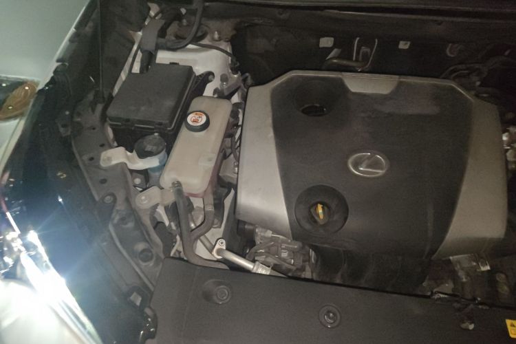 雷克萨斯NX 2018款 200 前驱 锋行版 国V局部细节9006